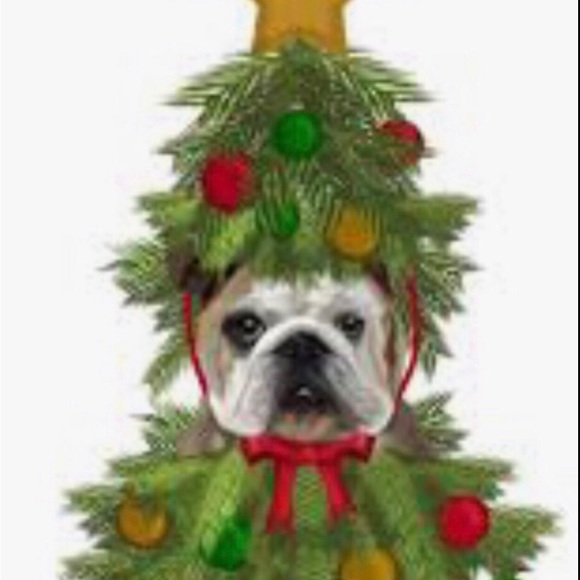 MOTLEY CRUE~Tommy Lee ~Awesome 8X10 Framed Photo - Picture 4 of 9